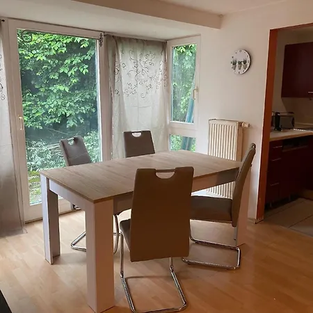 Studio-ferienhaus Mit Gartenumzaeunung Fuer Hunde Apartmán Zandt